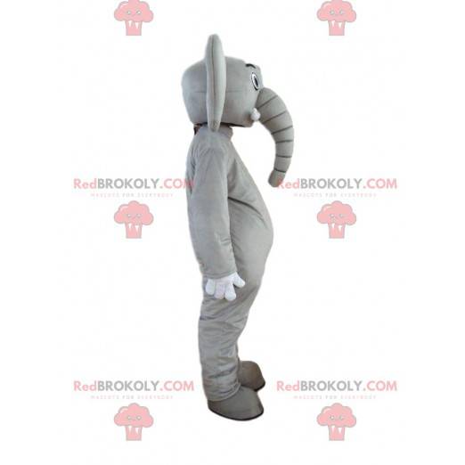 Aanpasbaar olifantenkostuum, pachyderm-mascotte - Redbrokoly.com