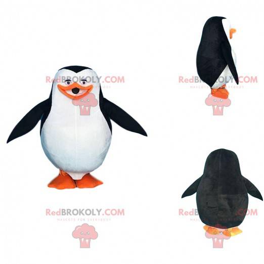 Traje de pinguim do desenho animado "Os pinguins de Madagascar"