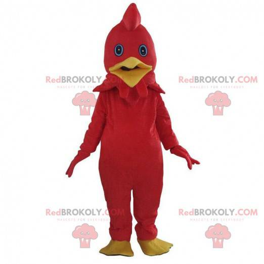 Rood haan kostuum, kleurrijke kip mascotte - Redbrokoly.com