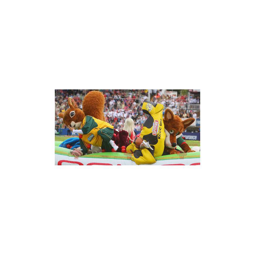 2 mascottes : un écureuil et un renard orange - Redbrokoly.com
