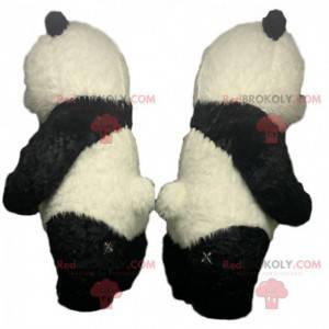 Mascot panda inflable, osito de peluche 2 metros -