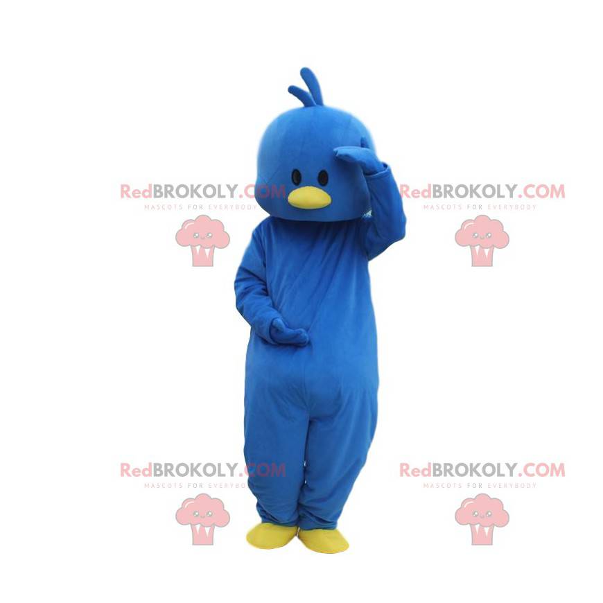 Costume blu canarino, costume uccello blu e giallo -