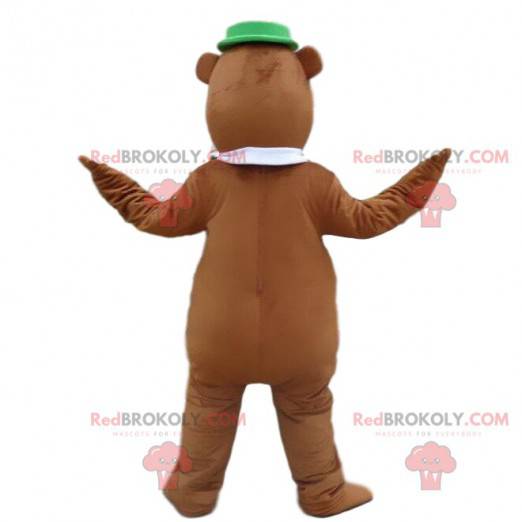 Mascotte de Yogi, le célèbre ours de dessin animé costume Yogi