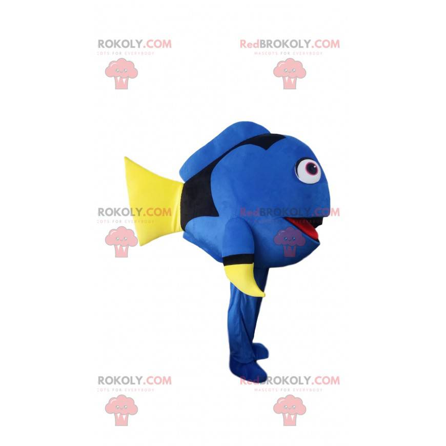 Mascota de Dory, el famoso pez cirujano de dibujos animados -