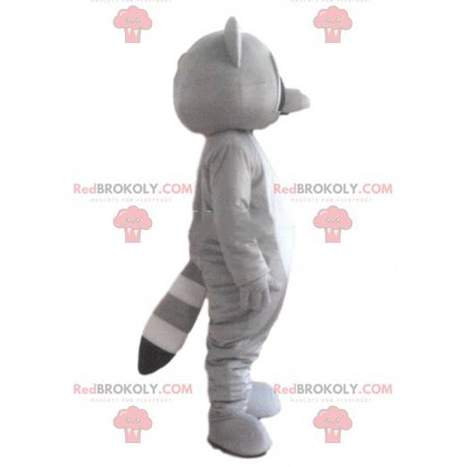 Mascotte procione tricolore, costume animale grigio -