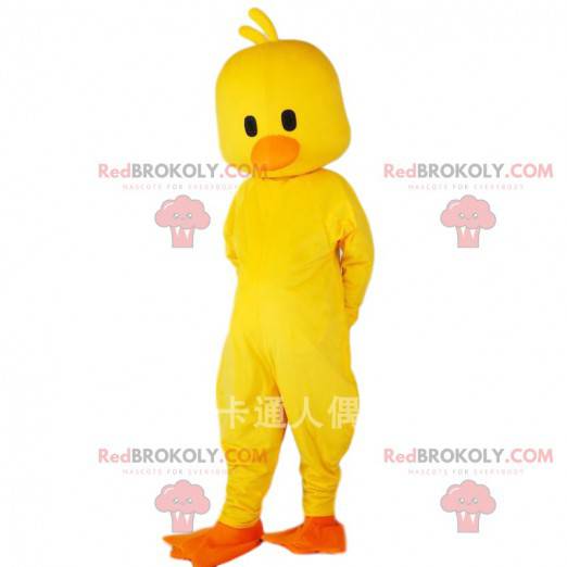 Mascotte canarino giallo, costume da uccello gigante -