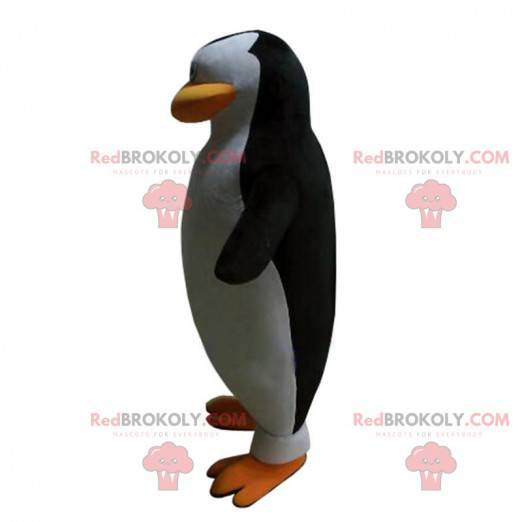 Pingvin maskot fra filmen "Madagaskars pingviner" -