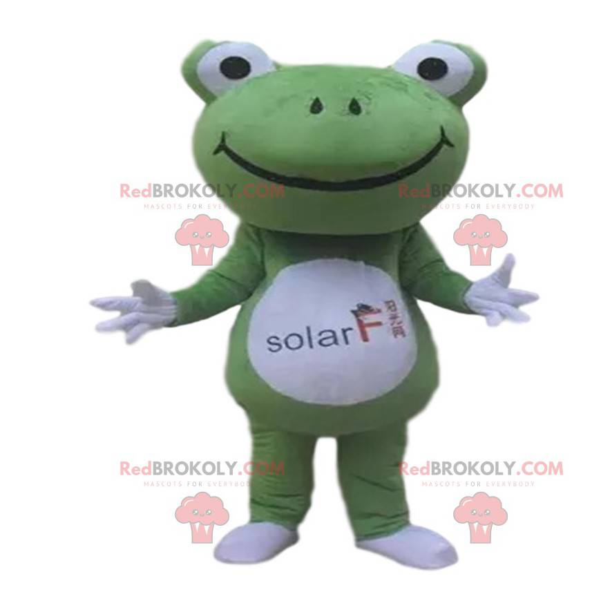 Groene en witte kikker mascotte met een groot hoofd -