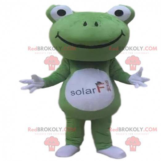 Groene en witte kikker mascotte met een groot hoofd -