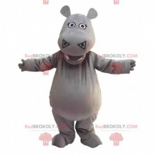 Mascote de Glória, o famoso hipopótamo do filme Madagascar -