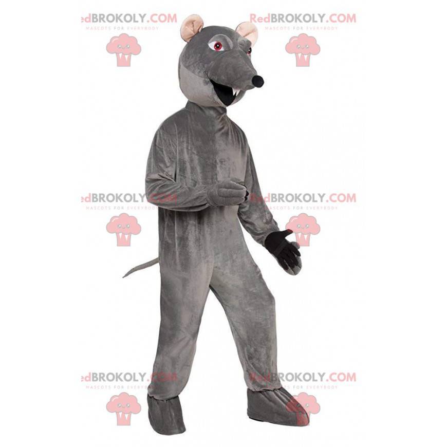 Mascotte ratto grigio, costume da roditore, topo -
