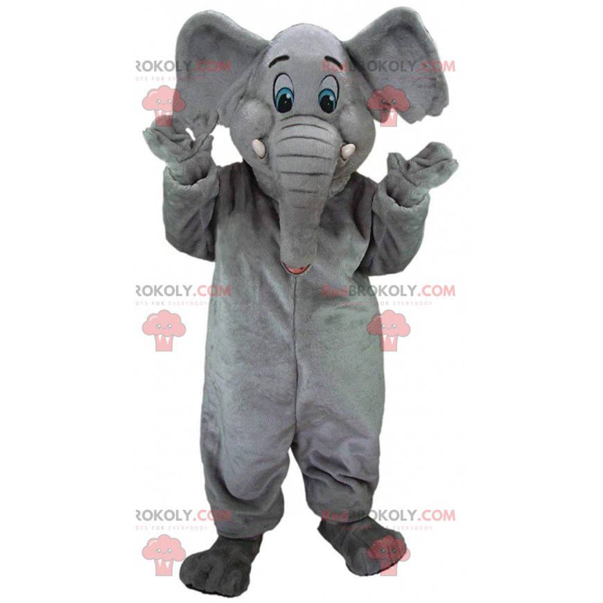 Gray elephant mascot with blue eyes, pachyderm costume - Gray elephant mascot with blue eyes, pachyderm costume -