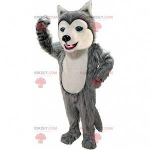 Grijze en witte husky mascotte, kostuum harige wolf hond -