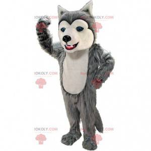 Mascota husky gris y blanco, disfraz de perro lobo peludo -