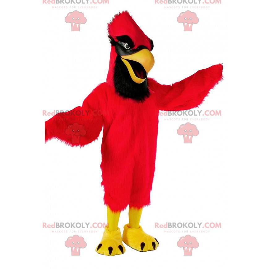 Mascotte rode kardinaal, kostuum gigantische vogel -