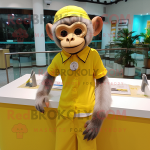 Mono capuchino amarillo...