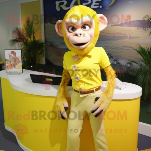 Mono capuchino amarillo...