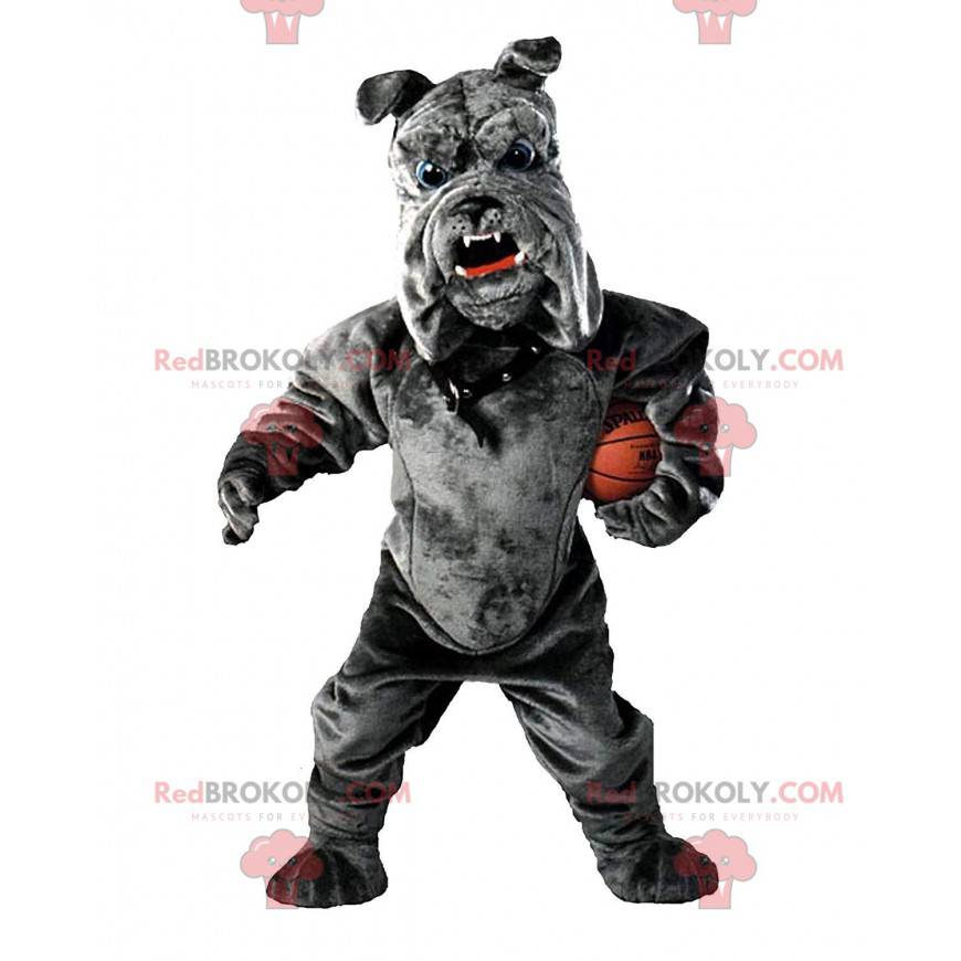 Bulldog mascot, plush gray dog costume - Redbrokoly.com