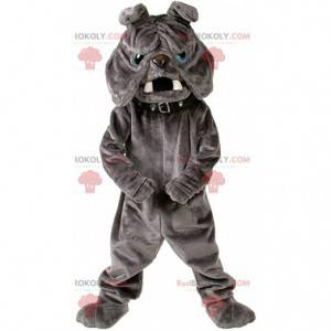 Mascote Bulldog, fantasia de cachorro cinza de pelúcia -