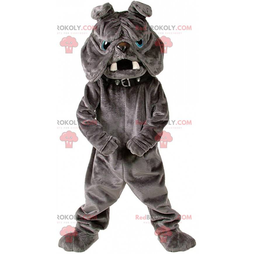 Bulldog maskot, plyschgrå hunddräkt - Redbrokoly.com