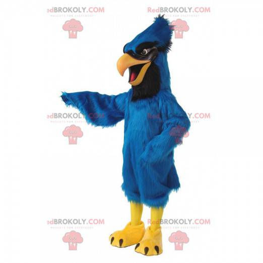 Mascote de Jay de Steller, fantasia de gaio azul, pássaro -