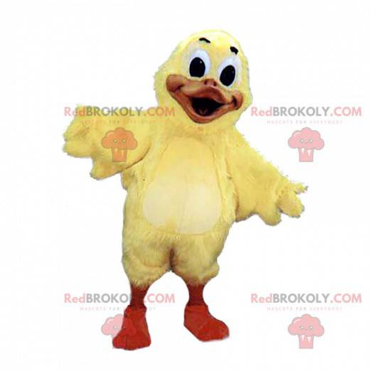 Maskot velký žlutý pták, kanárek, kuřátko - Redbrokoly.com