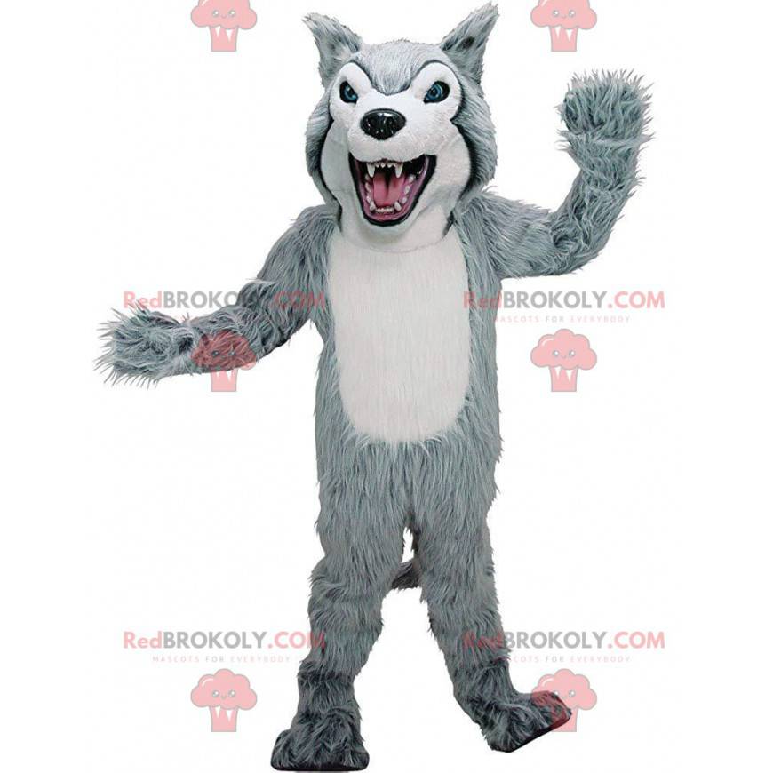 Grijze en witte husky mascotte, kostuum harige wolf hond -