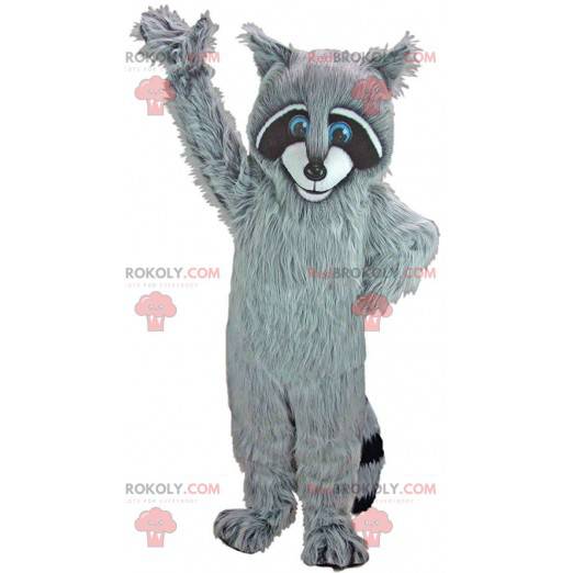 Mascota de mapache tricolor, con bonitos ojos azules -