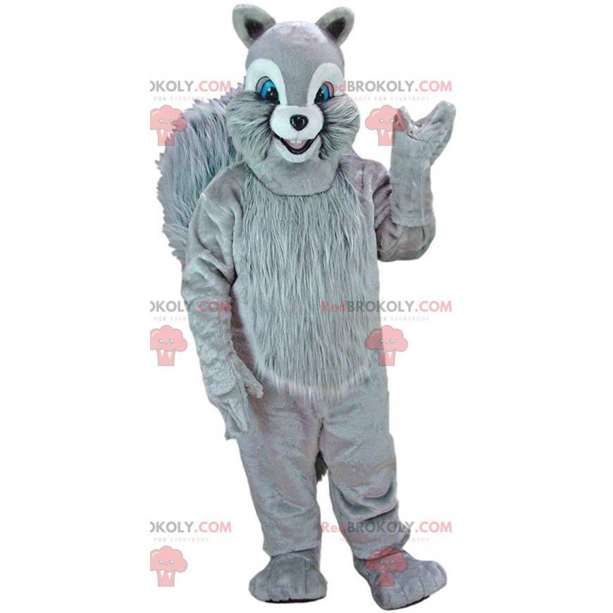 Grå ekorre maskot med blå ögon, skog kostym - Redbrokoly.com Grå ekorre maskot med blå ögon, skog kostym - Redbrokoly.com