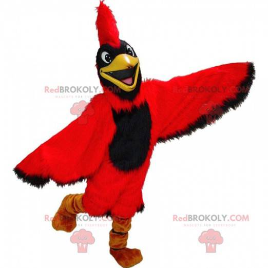 Red cardinal mascot, giant bird costume - Redbrokoly.com