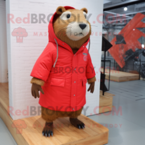 Red Capybara mascot costume character dressed with a Parka and Shoe laces