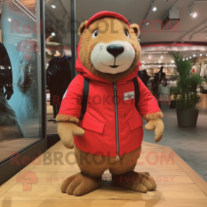 Red Capybara mascot costume character dressed with a Parka and Shoe laces