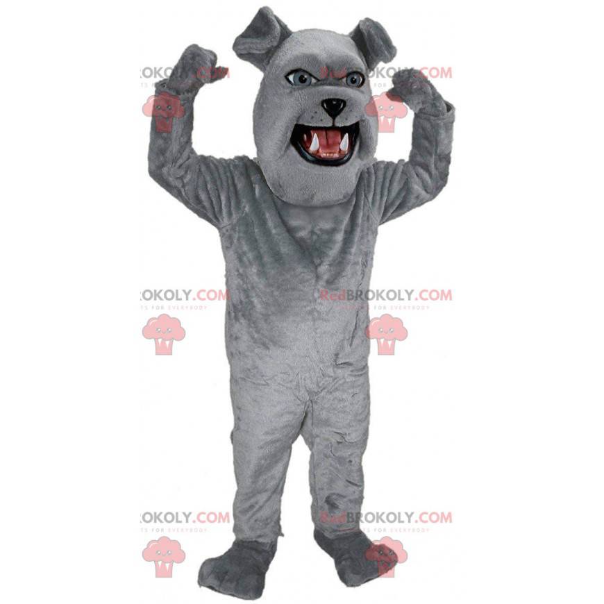 Giant bulldog mascot, plush gray dog costume - Redbrokoly.com