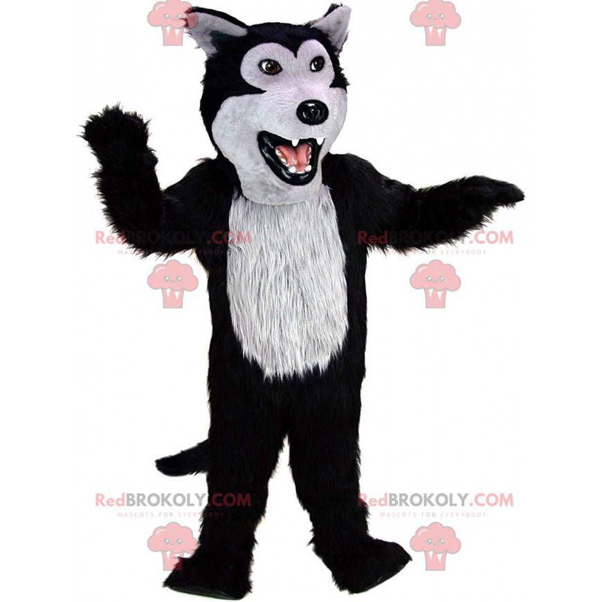 Mascotte lupo nero e grigio, costume da cane lupo peluche -