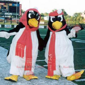 2 black and white penguin mascots - Redbrokoly.com