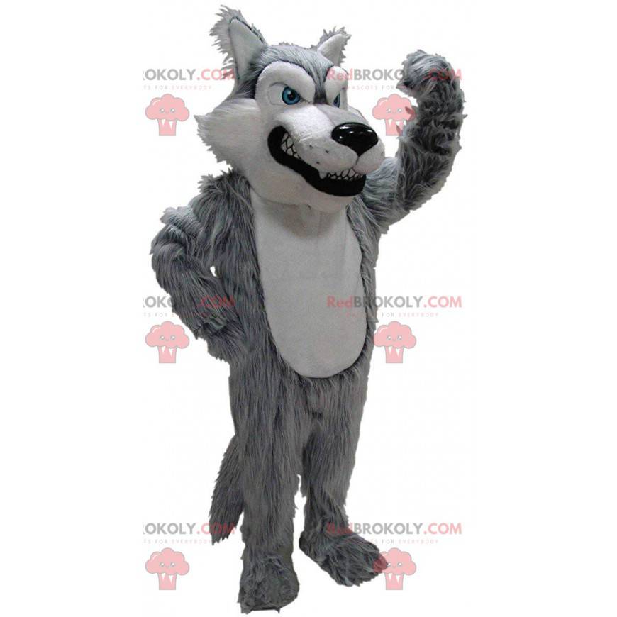 Gray and white wolf mascot, bad hairy wolf costume -