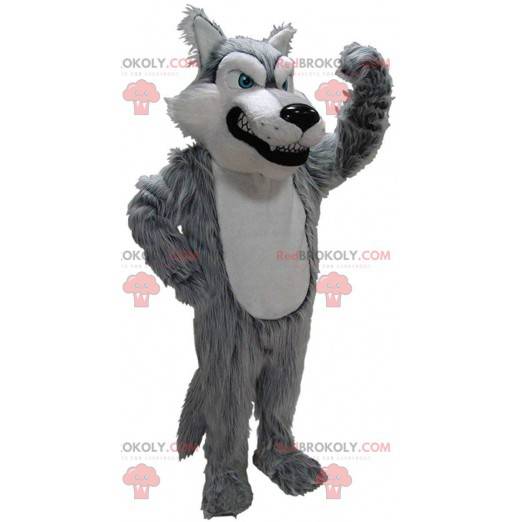 Mascotte grijze en witte wolf, kostuum van slechte harige wolf
