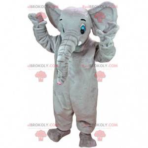 Maskot stor grå elefant med blå ögon - Redbrokoly.com