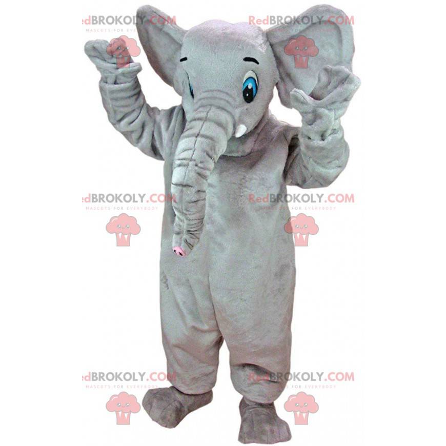 Maskot stor grå elefant med blå øjne - Redbrokoly.com