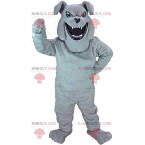 Mascotte de bulldog gris à l'air féroce, costume de chien