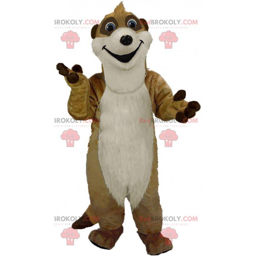 Mascote Meerkat, animal do deserto, fantasia de mangusto -