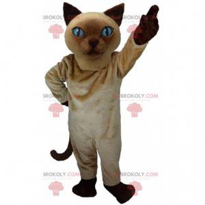 Mascote do gato siamês, fantasia realista de gato -