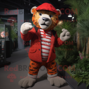 Röd sabeltandad tiger...