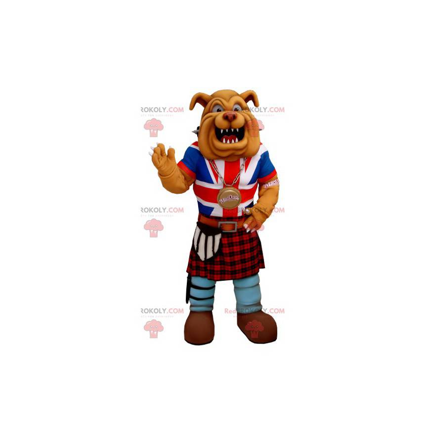 Bulldog-mascotte gekleed in Angelsaksische kledij -