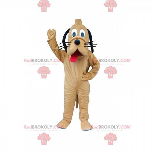 Mascot Pluto, the famous yellow dog of Mickey Mouse -