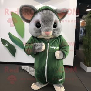 Forest Green Chinchilla mascot costume character dressed with a Sweatshirt and Wraps