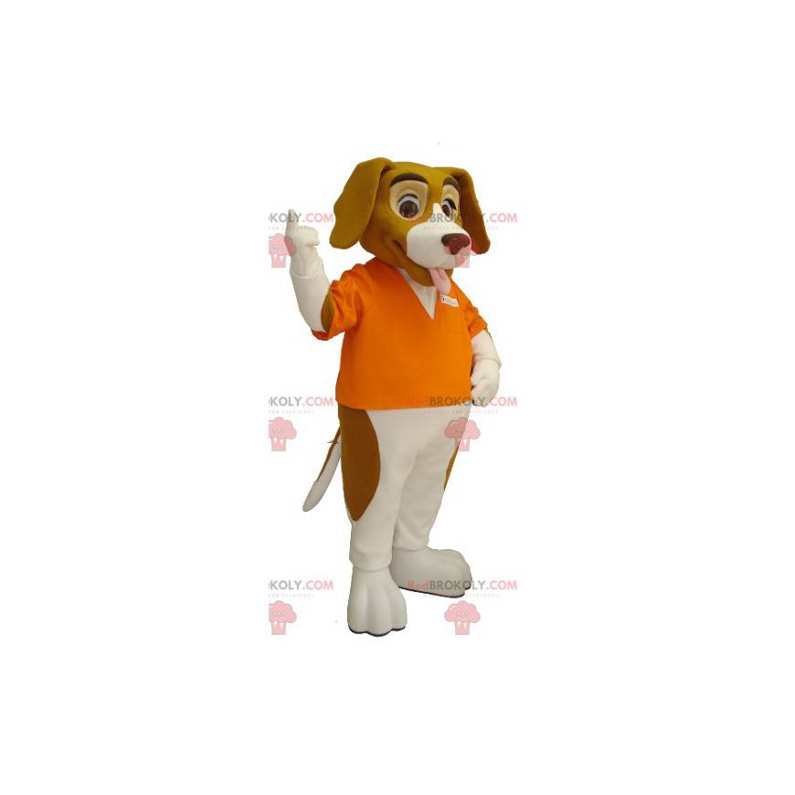 Brązowy i biały pies maskotka basset hound - Redbrokoly.com