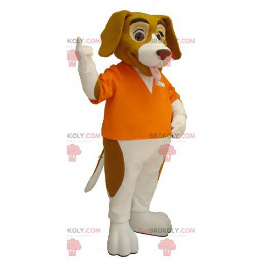 Mascote do cão basset hound marrom e branco - Redbrokoly.com