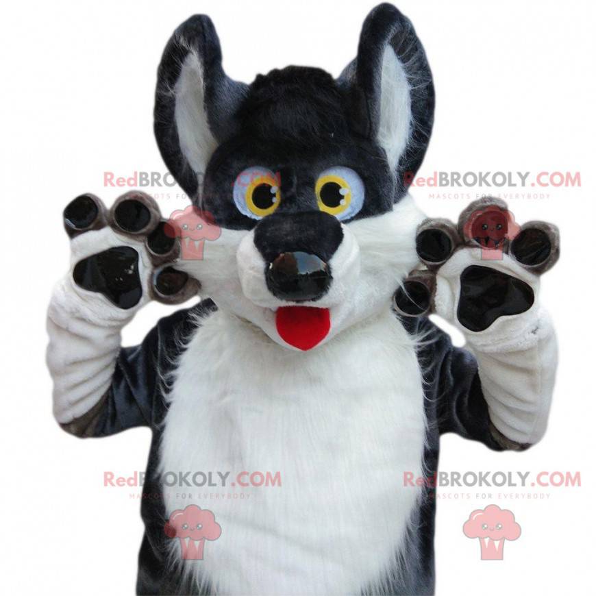 Gray and white husky mascot, bewitching wolf dog costume -