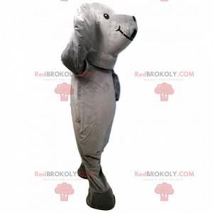 Mascotte grijze zeehond, kostuum reusachtige zeeleeuw -